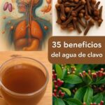 35 Beneficios del Agua de Clavo: La Bebida Natural que Transforma Tu Salud