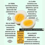 Descubre los Beneficios Nutricionales del Huevo Hervido: La Yema y la Clara
