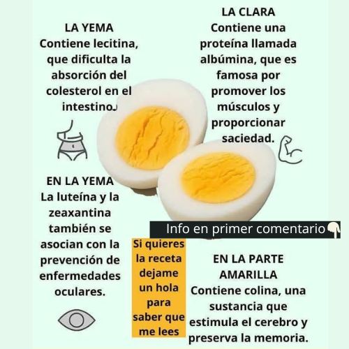 Infografía sobre beneficios del huevo