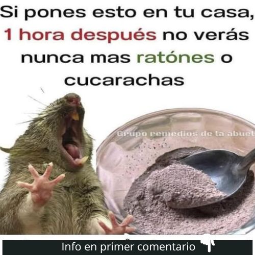 Remedio casero para ahuyentar ratones y cucarachas