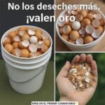 No Deseches Más las Cáscaras de Huevo: ¡Valen Oro para Tu Salud y Bienestar!