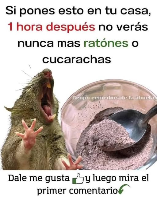 Remedio casero para eliminar roedores