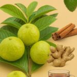 Descubre los Beneficios de un Té Natural con Guayaba, Guanábana, Canela y Jengibre