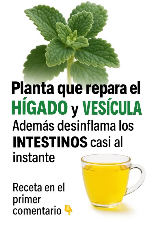 Infusión natural para el hígado