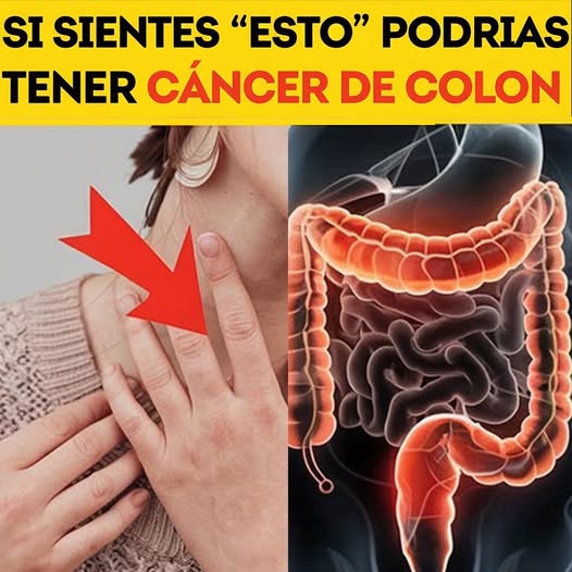 Salud y prevención del cáncer de colon