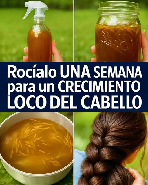 Tónico Natural Casero para el Cabello