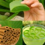 Receta Natural: Aloe Vera y Canela para la Salud Integral