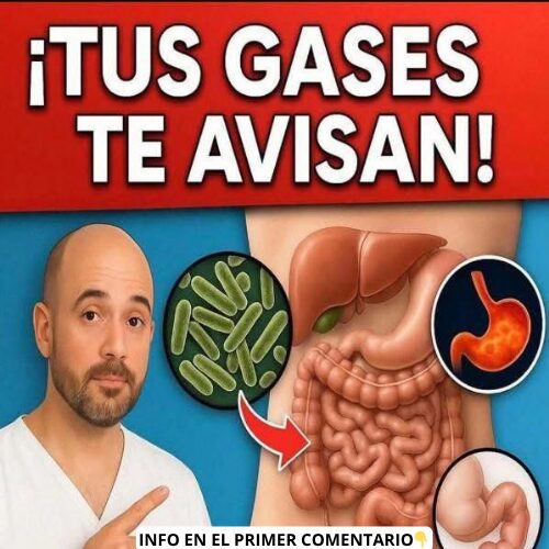 Sistema digestivo