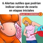 Alertas Sutiles del Cáncer de Ovario y Remedios Naturales para la Salud Femenina
