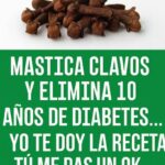 El Maravilloso Clavo de Olor: Beneficios y Recetas para la Salud
