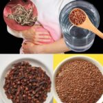 Cómo Eliminar los Parásitos Intestinales con Remedios Naturales: Recetas y Consejos Prácticos
