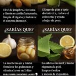 Cuatro Remedios Naturales para el Cuidado de tu Cuerpo y Mente