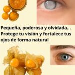 Beneficios del Aguaymanto: La Pequeña Fruta que Transformará tu Salud Visual