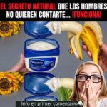 El Secreto Natural para la Salud Masculina que Nadie Te Ha Contado