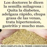 La Semilla Milagrosa: Un Remedio Natural para la Salud