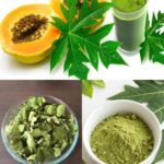 Las Increíbles Propiedades de la Papaya y Sus Hojas para Tu Salud