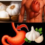 Beneficios del Ajo: Tu Aliado Natural Contra Bacterias y en el Tratamiento de Problemas de Salud