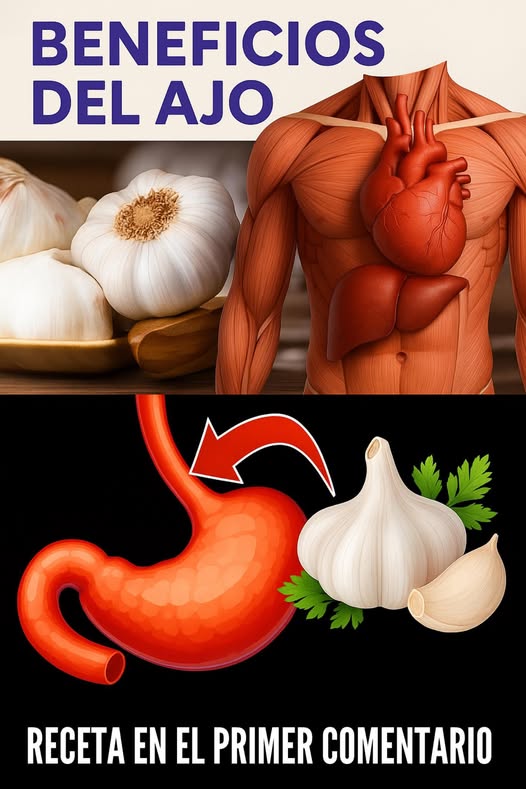 Beneficios del Ajo
