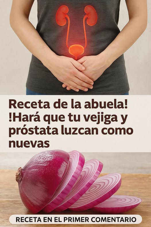 Ilustración del sistema urinario y cebolla