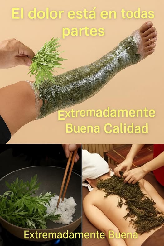 Uso de Artemisa en tratamientos de salud