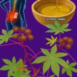 Descubre el Poder del Ricino: Oro Natural para tu Salud