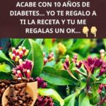 Beneficios del Clavo de Olor: Un Remedio Natural para la Salud