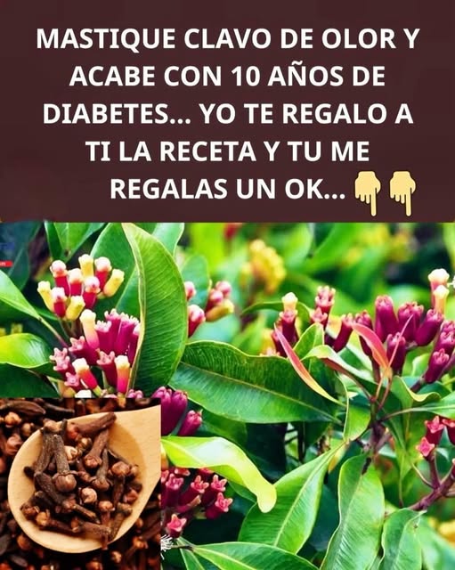 Clavos de olor y sus propiedades