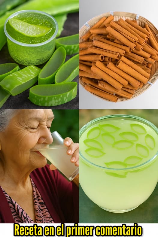 Ingredientes naturales: Aloe Vera y Canela