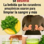 La Bebida Curativa Amazónica: Un Remedio Natural para Riñones Saludables y Cuerpo Desinflamado