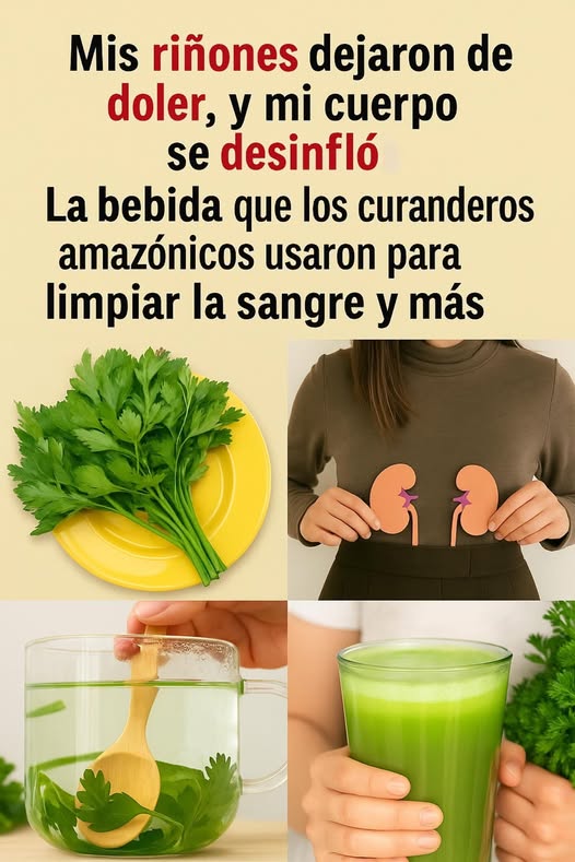 Hierbas y Té Natural para la Salud Renal