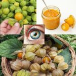 Descubre los Beneficios del Physalis o Uchuva para la Salud Ocular