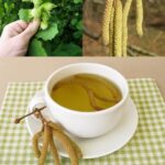 Avellanas: El Remedio Natural que Depura, Desinflama y Revitaliza tu Organismo