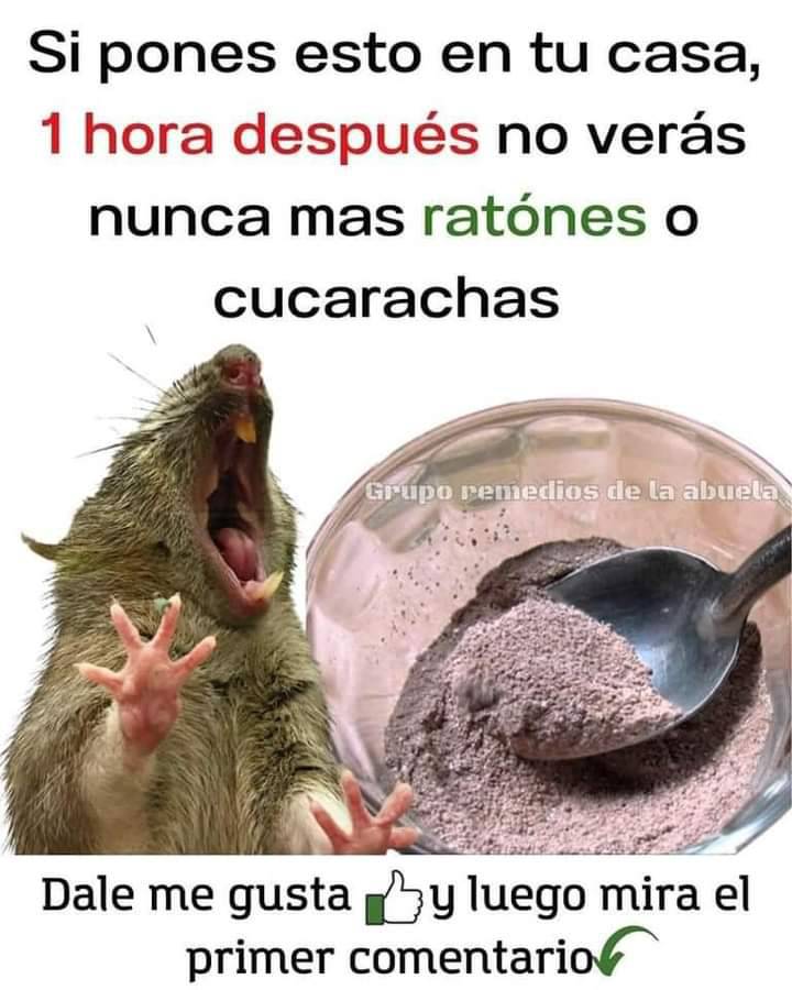 Remedio Natural contra Ratones y Cucarachas