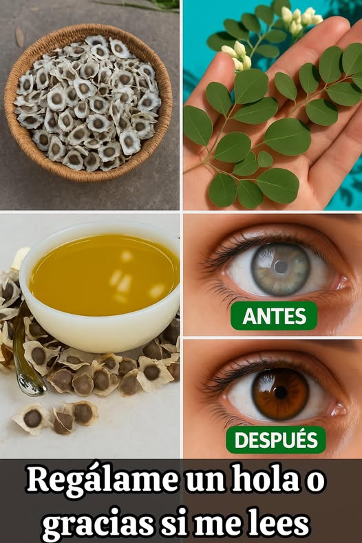 Semillas de moringa y salud ocular
