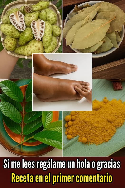 Ingredientes naturales para la salud