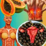 Descubre los Beneficios de las Semillas de Papaya para la Salud Reproductiva y los Riñones