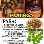 Moringa para la Vista: El Secreto Natural para Cuidar tus Ojos y Mejorar la Visión