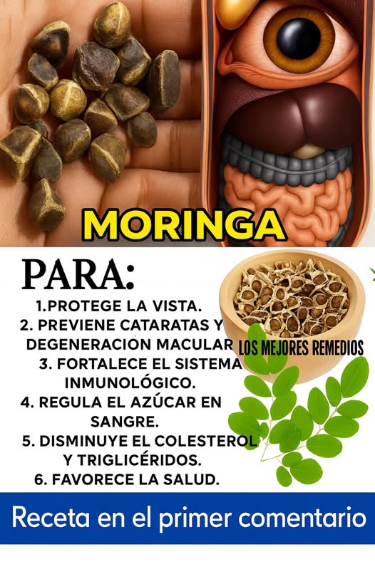 Beneficios de la Moringa