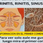 Elimina el Moco y la Flema de Forma Natural: Remedios Caseros para Descongestionar la Garganta y Nariz