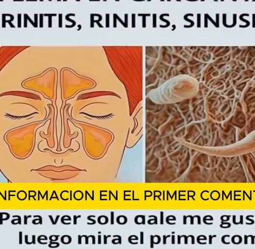 Remedios Naturales para Descongestionar