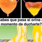 Los Impactantes Beneficios de Orinar en la Ducha