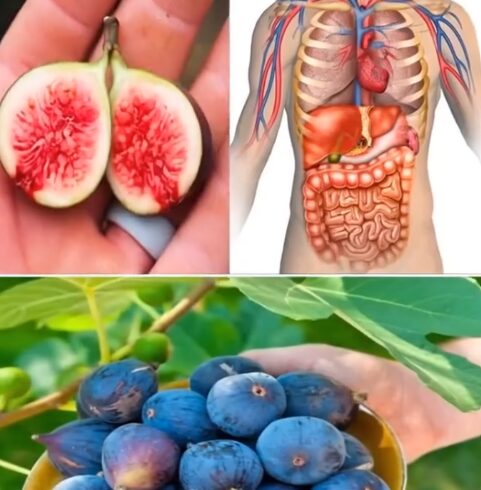 Beneficios de los Higos