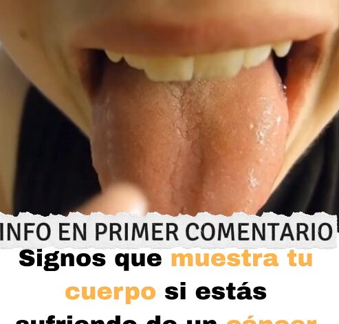Salud estomacal