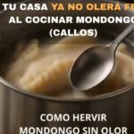 Como Hervir Mondongo (Callos) Sin Olor: El Truco que Necesitabas
