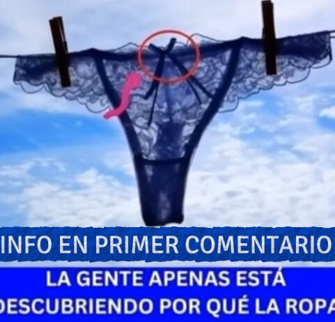 Lazo en Ropa Interior Femenina