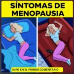 Cómo Manejar los Síntomas de la Menopausia con Remedios Naturales