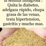 Descubre la Semilla Milagrosa: Beneficios, Uso y Recetas