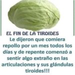 ¿Es el Repollo un Riesgo para la Tiroides? Desmitificando Mitos sobre este Vegetal