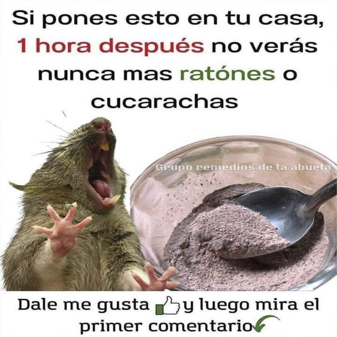 Meme sobre mezcla para ahuyentar ratones y cucarachas