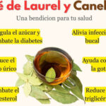 Té de Laurel: Beneficios y Cómo Prepararlo para Mejorar tu Salud